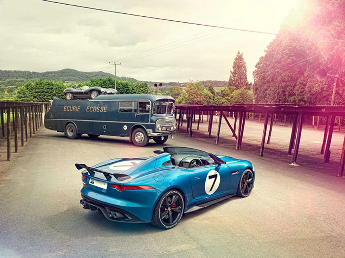 Jaguar Project 7: дикая кошка