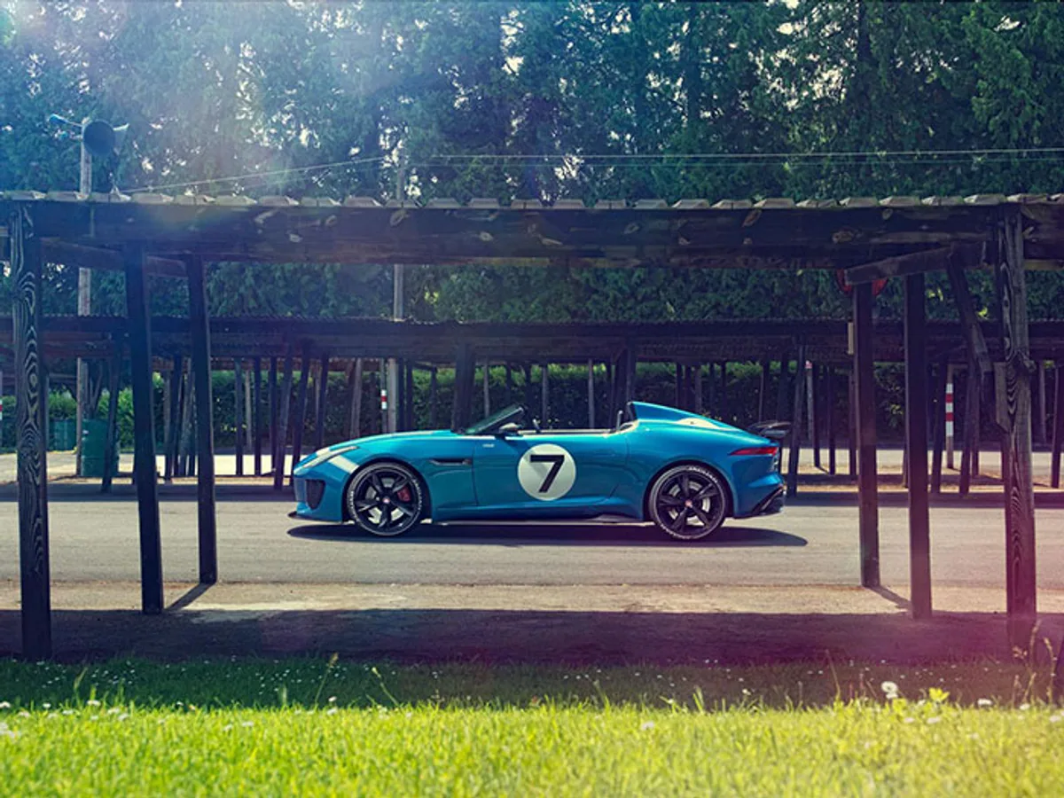 Jaguar Project 7: дикая кошка