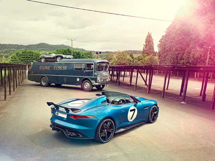 Jaguar Project 7: дикая кошка