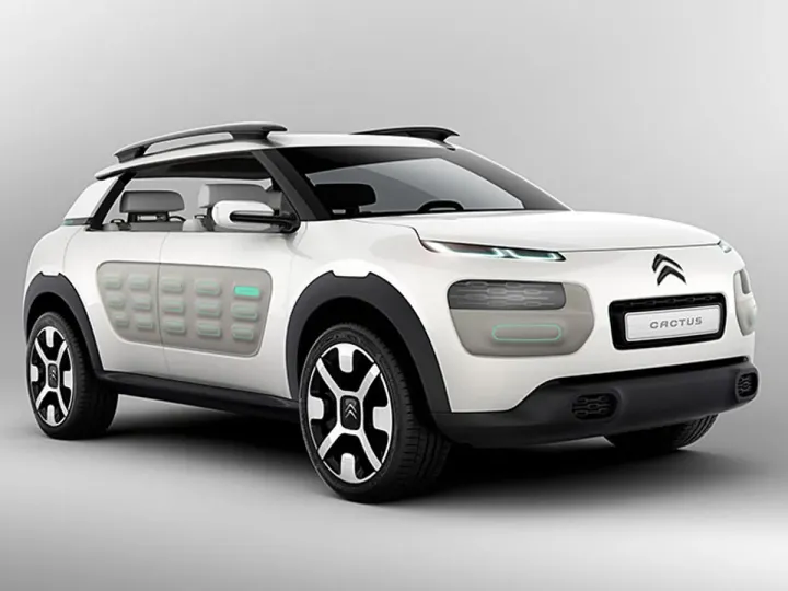 Citroen Cactus защитит от колючек