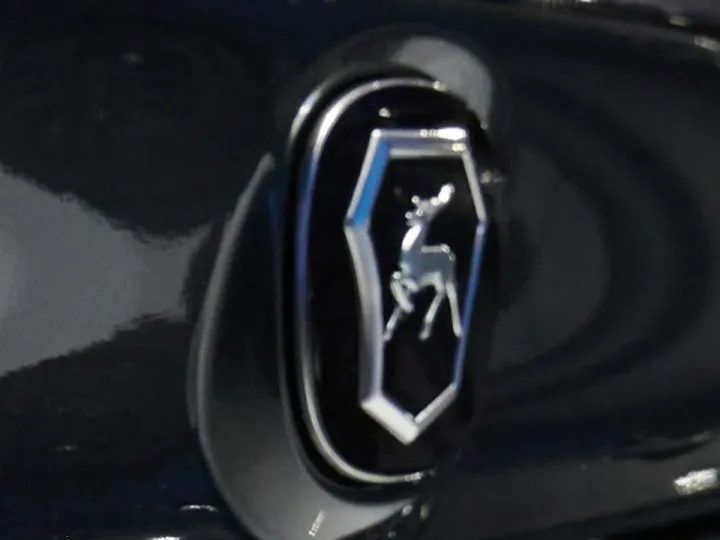 Volga и Geely не сняли вопрос относительного выхода на рынок «клона» Monjaro